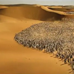 Abu Dhabi Commercial Bank – Waves