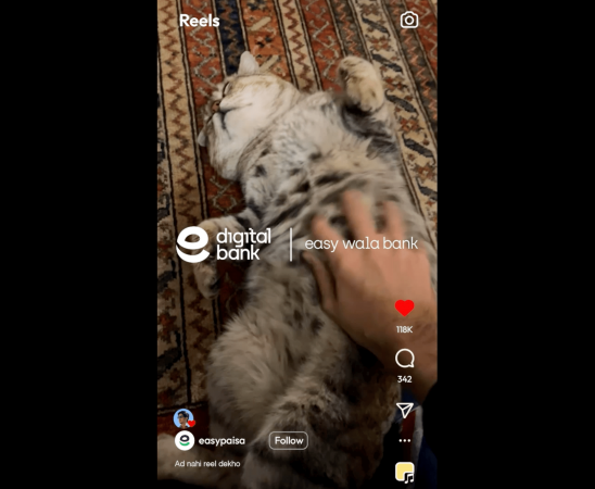 Easypaisa Impact BBDO cat reels campaign