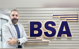 BSA industry snapshot