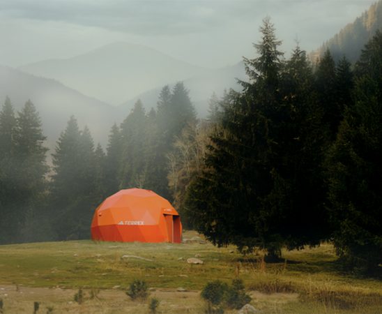 adidas TERREX tea house