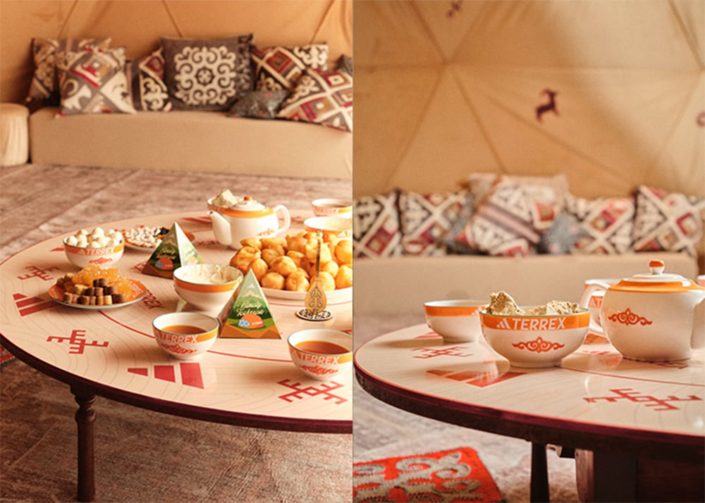 adidas TERREX tea house