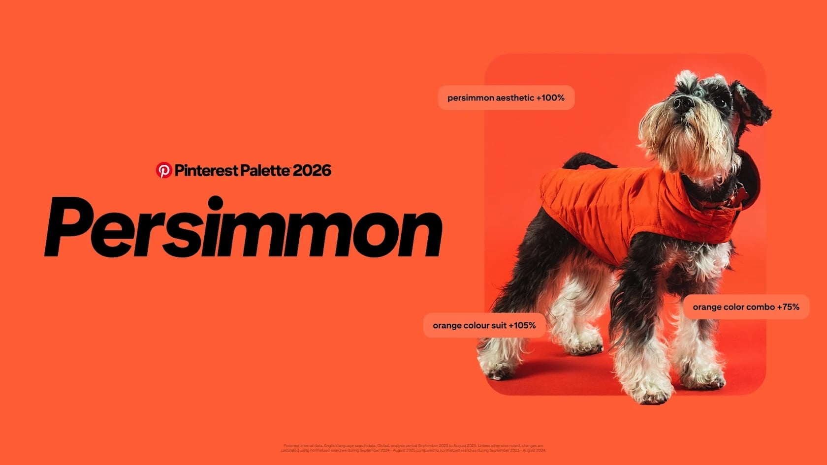 Pinterest’s 2026 Colour Trends released a list of the trending colours that will be shaping creativity, style and demand across culture.