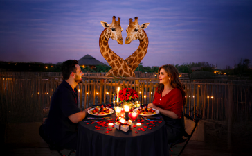 This Valentine’s Day, Dubai Safari Park is leveraging nature to connect couples with both wildlife and the brand.