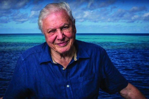 David-Attenborough-on-the-Great-Barrier-Reef-9-c-Atlantic-Productions2